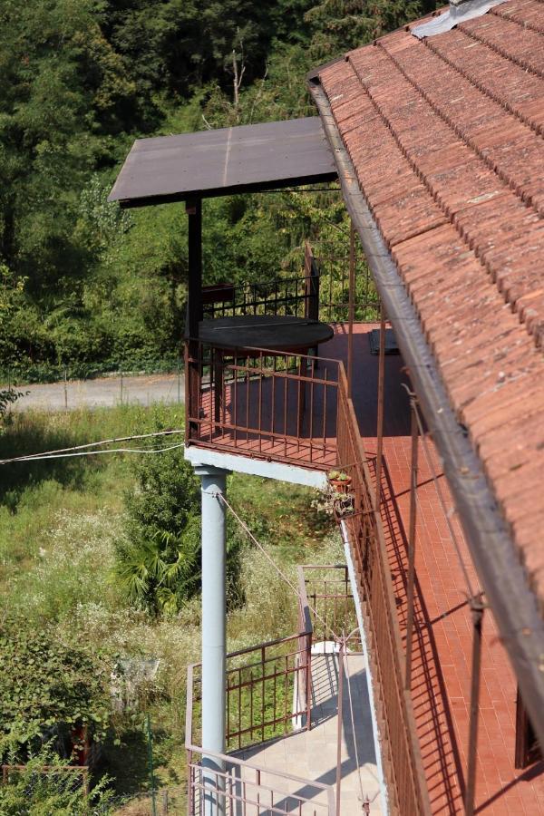 Natura Tra Bosco E Lago Castelveccana エクステリア 写真